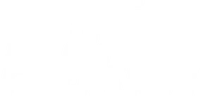 The Florist